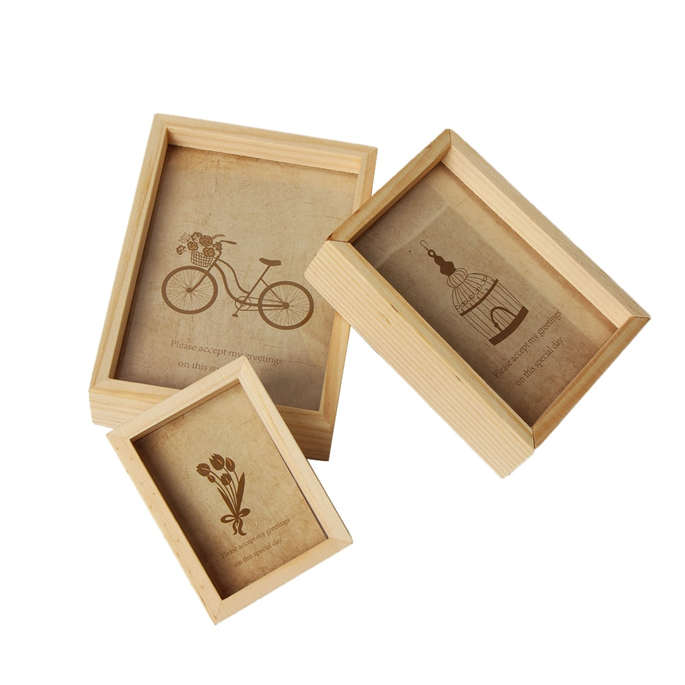 Glass Frame for Holding Plant Specimens