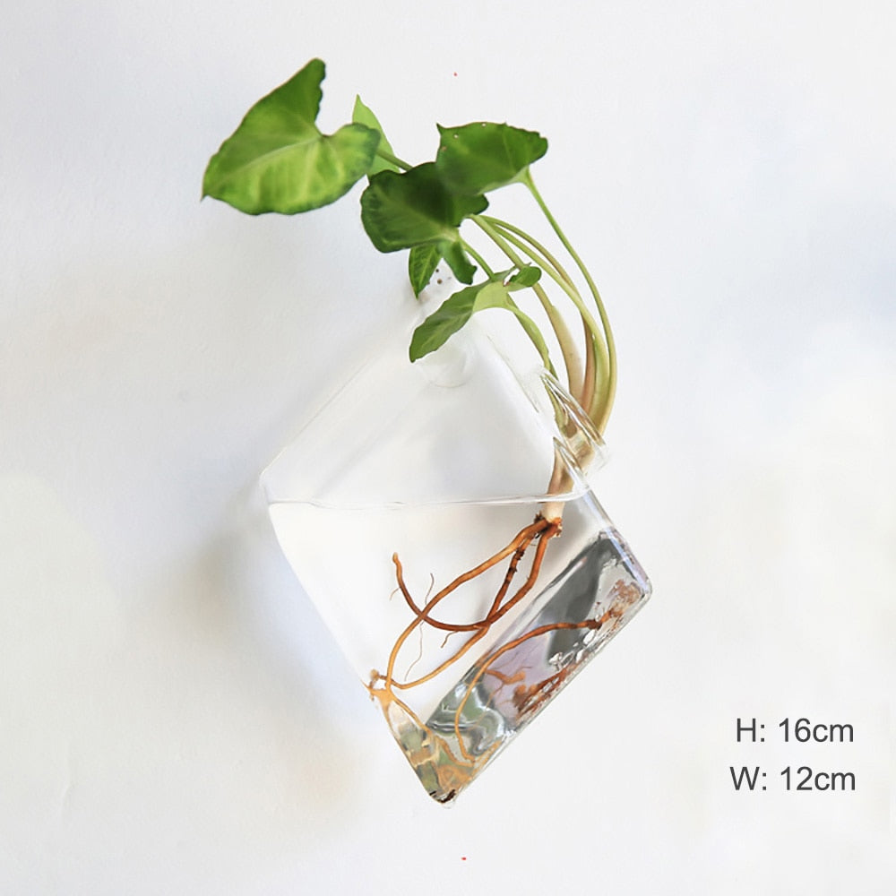 Wall Hanging Glass Flower Vase Terrarium