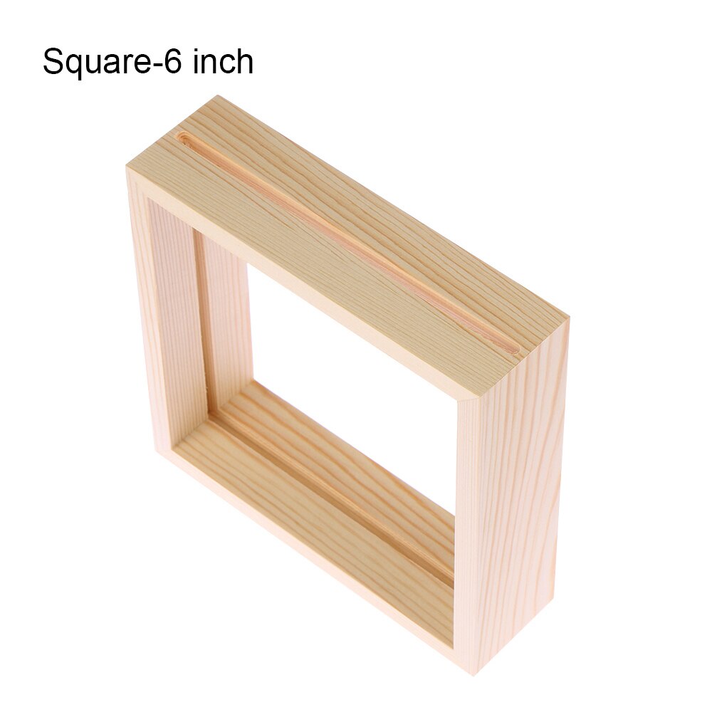 Glass Frame for Holding Plant Specimens