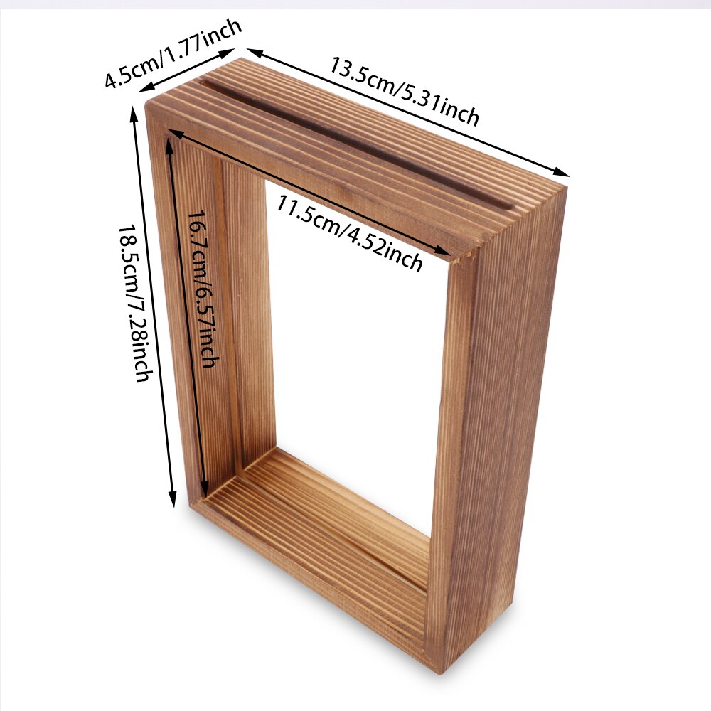 Glass Frame for Holding Plant Specimens