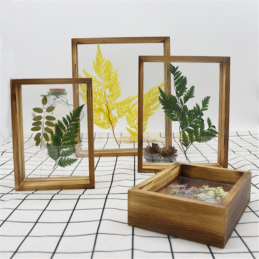 Glass Frame for Holding Plant Specimens