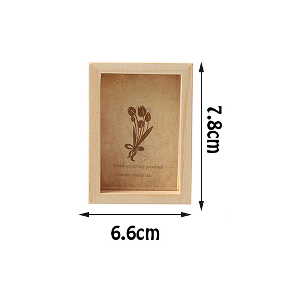 Glass Frame for Holding Plant Specimens