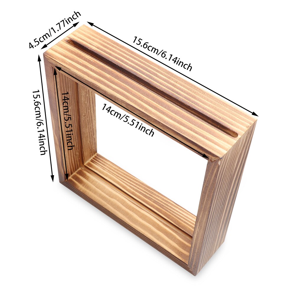 Glass Frame for Holding Plant Specimens