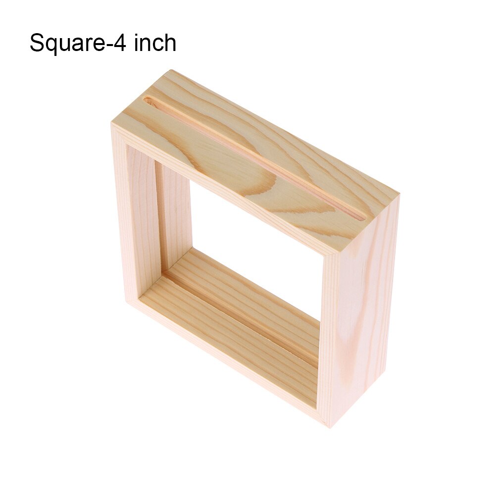 Glass Frame for Holding Plant Specimens