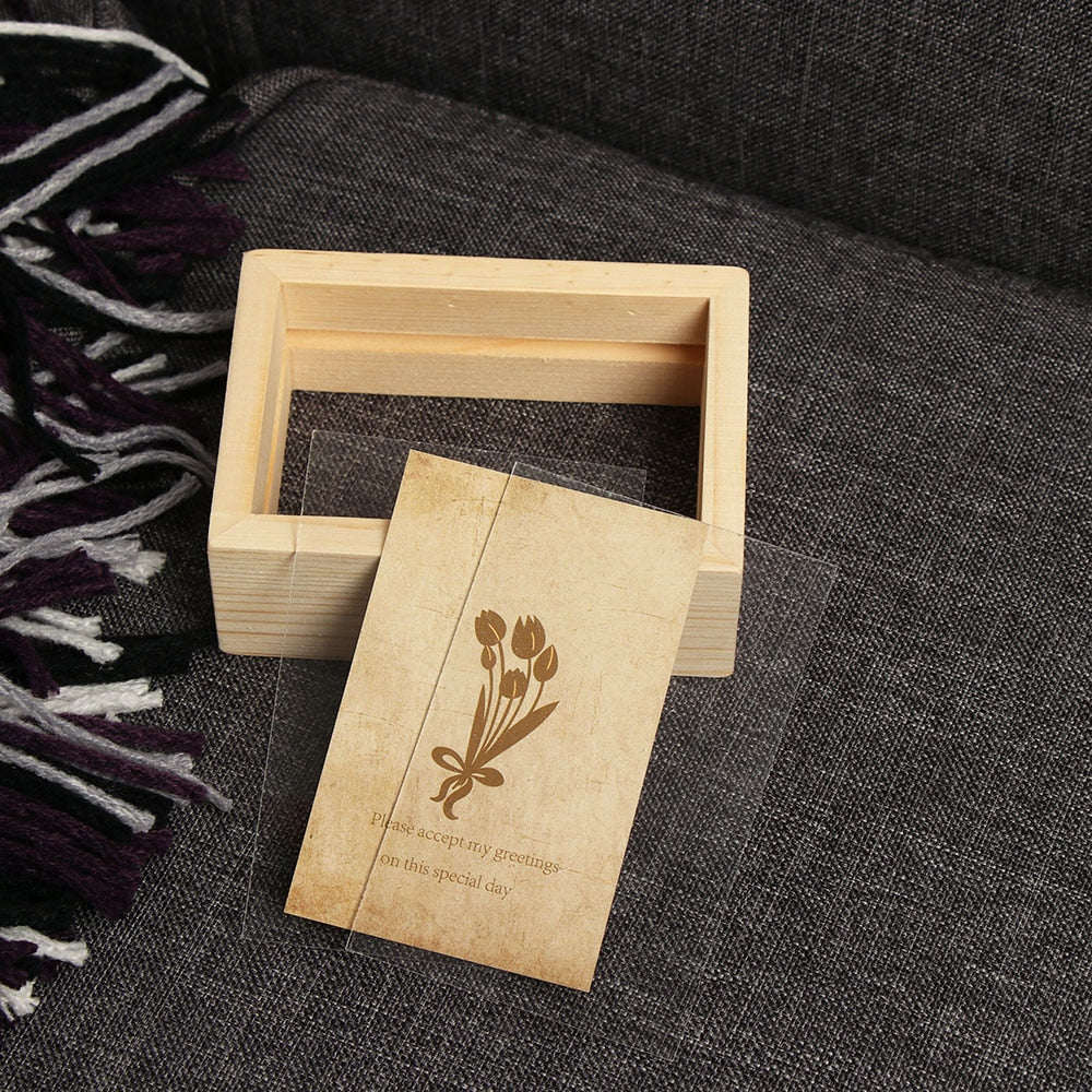 Glass Frame for Holding Plant Specimens