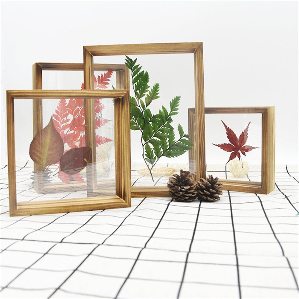 Glass Frame for Holding Plant Specimens