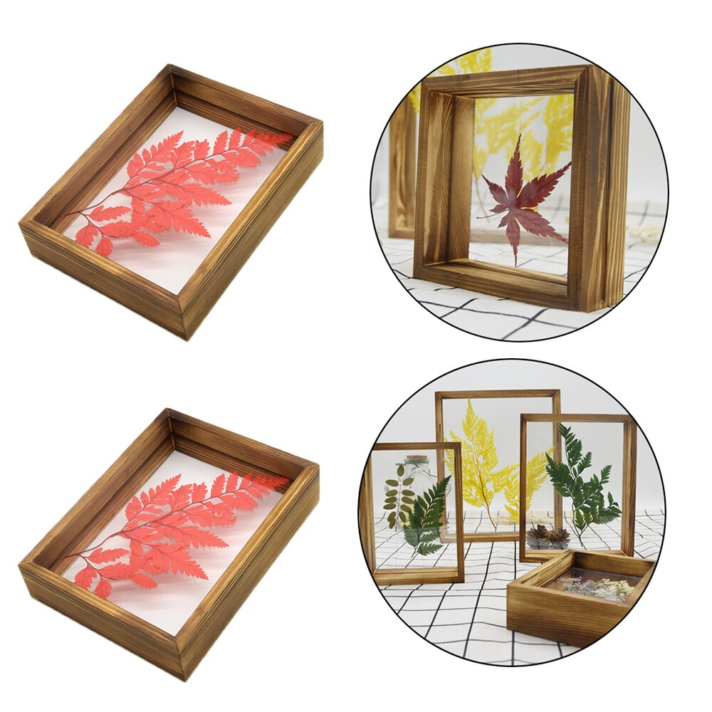 Glass Frame for Holding Plant Specimens