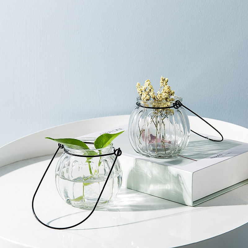 Hanging Glass Vases - Indoor Home Decoration