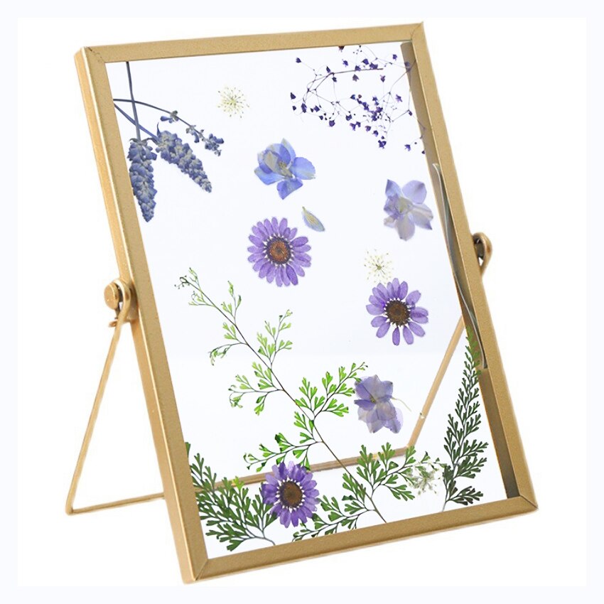 Herbarium Display Photo Frame