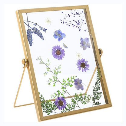 Herbarium Display Photo Frame
