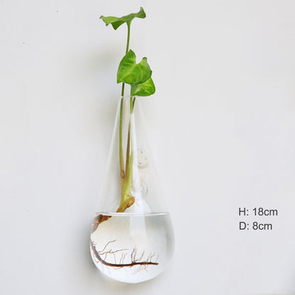 Wall Hanging Glass Flower Vase Terrarium