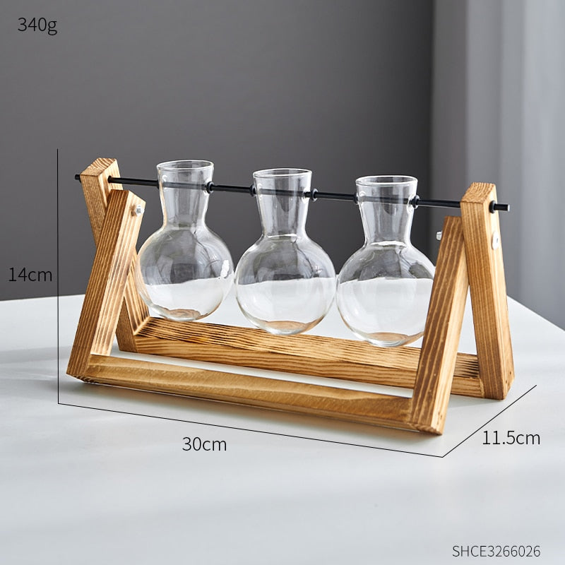 Modern Minimalism - Garden Wooden Glass Vases
