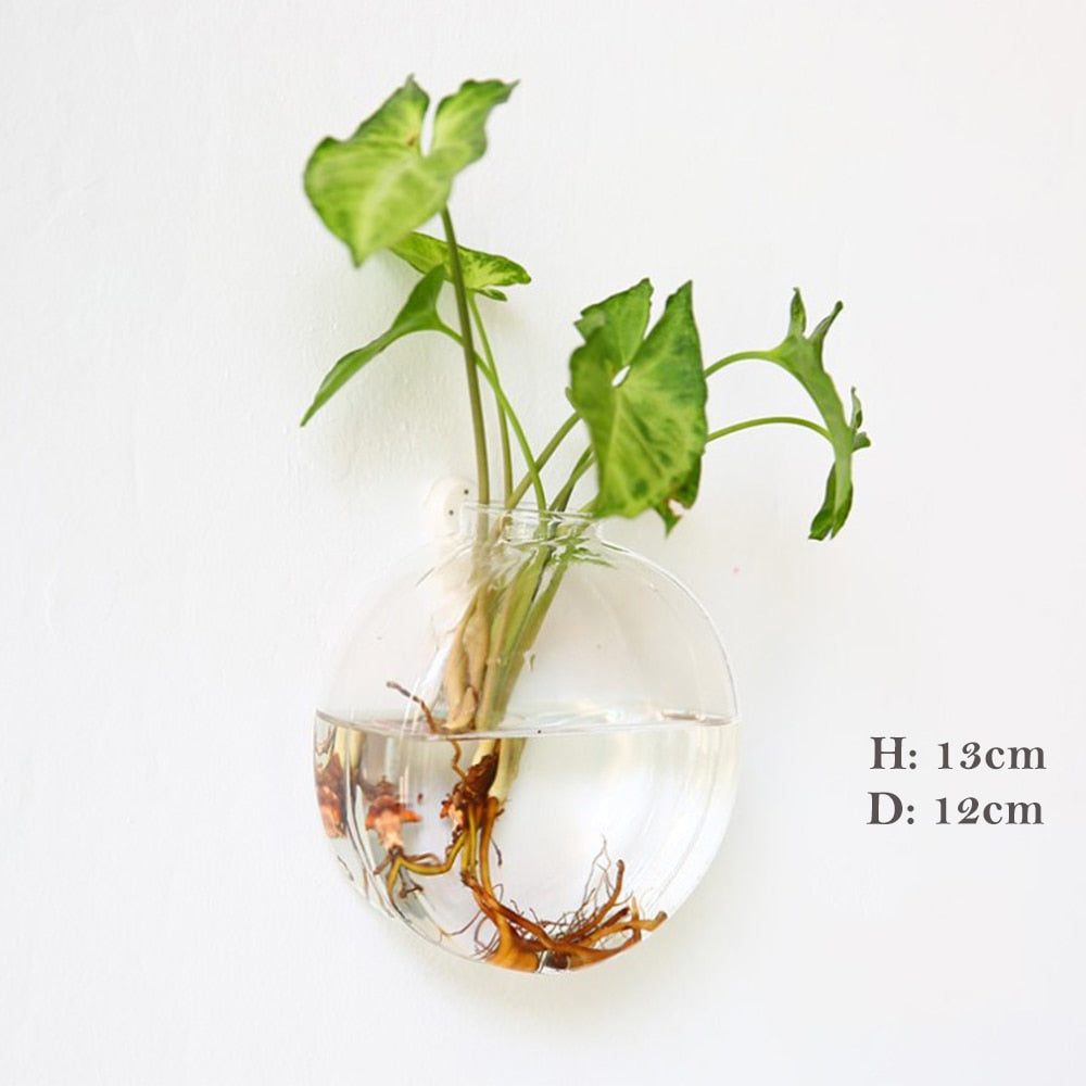 Wall Hanging Glass Flower Vase Terrarium