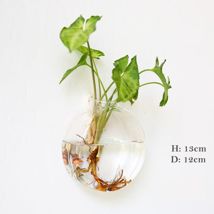 Wall Hanging Glass Flower Vase Terrarium