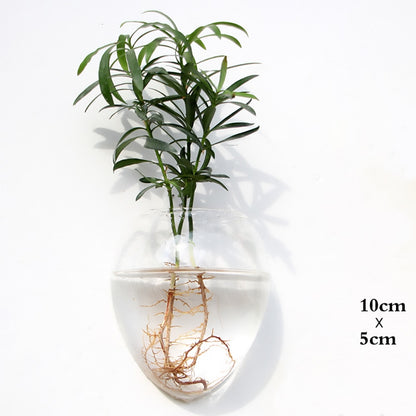 Wall Hanging Glass Flower Vase Terrarium