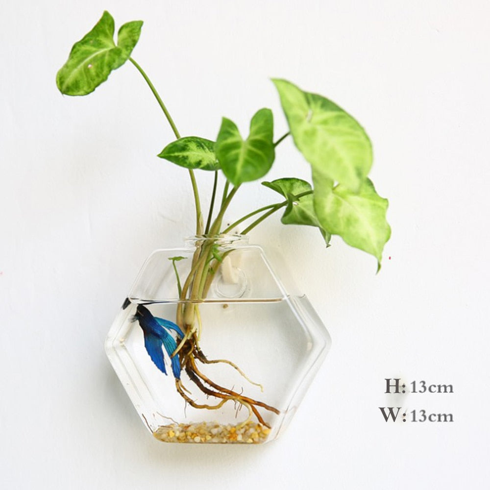 Wall Hanging Glass Flower Vase Terrarium