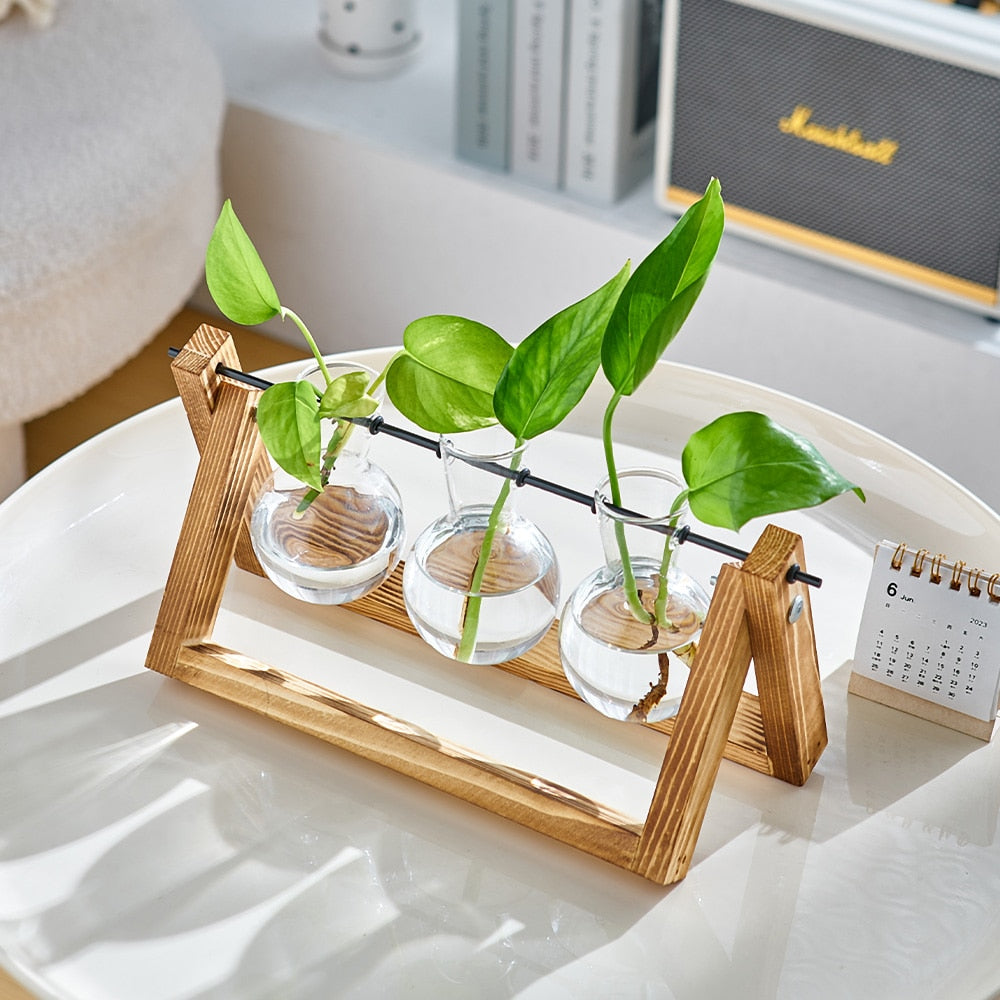 Modern Minimalism - Garden Wooden Glass Vases