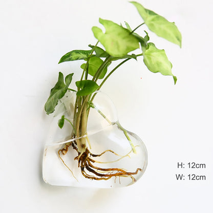 Wall Hanging Glass Flower Vase Terrarium