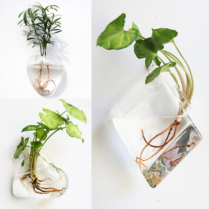 Wall Hanging Glass Flower Vase Terrarium