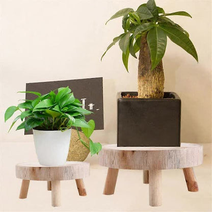 Wooden Plant Pallet Display Stand Bonsai Holder Indoor Outdoor Garden Decor