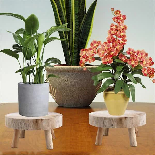 Wooden Plant Pallet Display Stand Bonsai Holder Indoor Outdoor Garden Decor