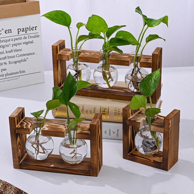 Hydroponic Wooden Frame  - Spherical Bottle