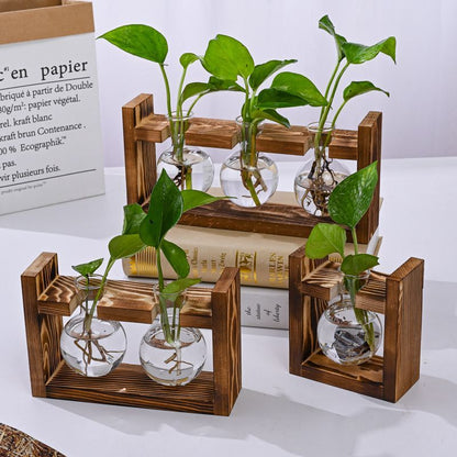 Hydroponic Wooden Frame  - Spherical Bottle