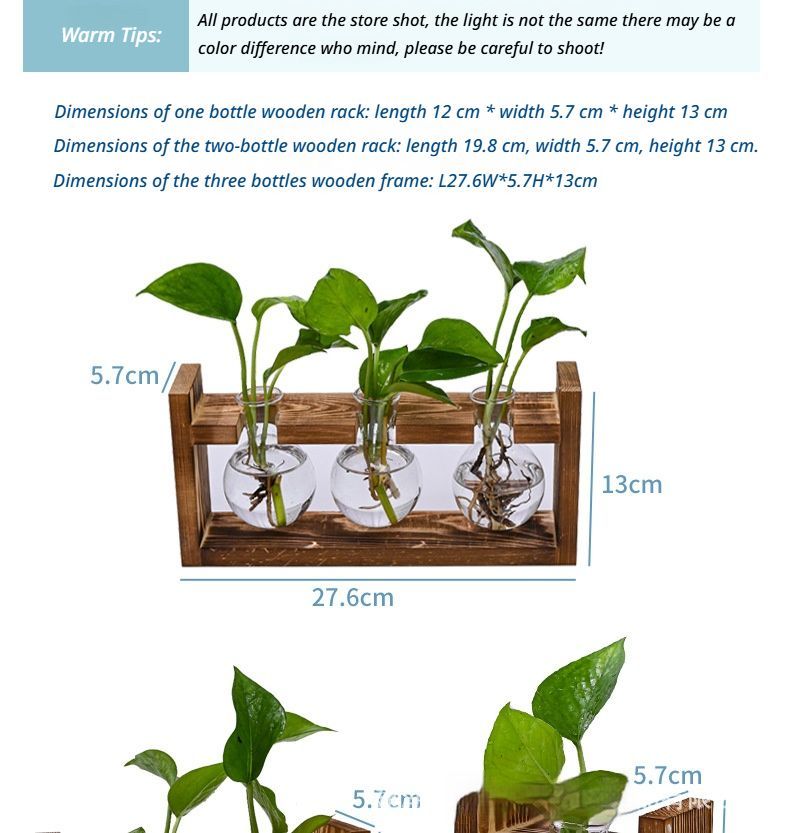 Hydroponic Wooden Frame  - Spherical Bottle