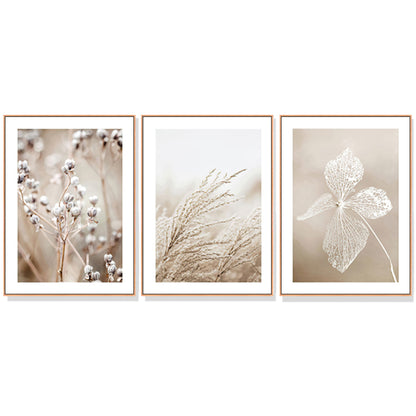 Wall Art Dried Flower 3 Sets Wood Frame Canvas