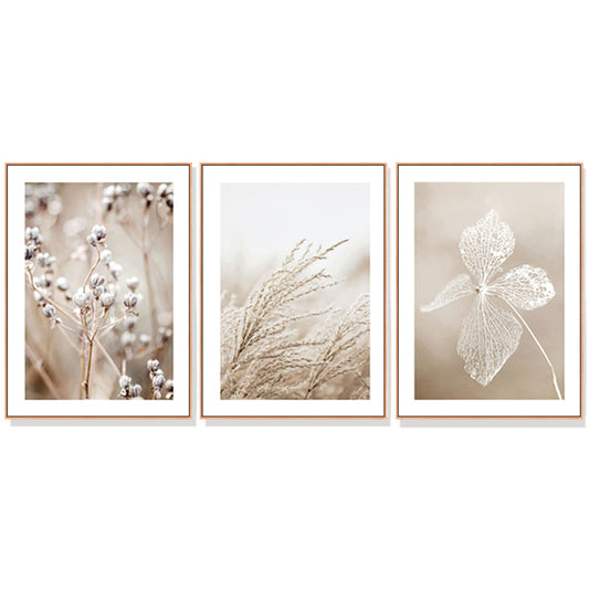 Wall Art Dried Flower 3 Sets Wood Frame Canvas