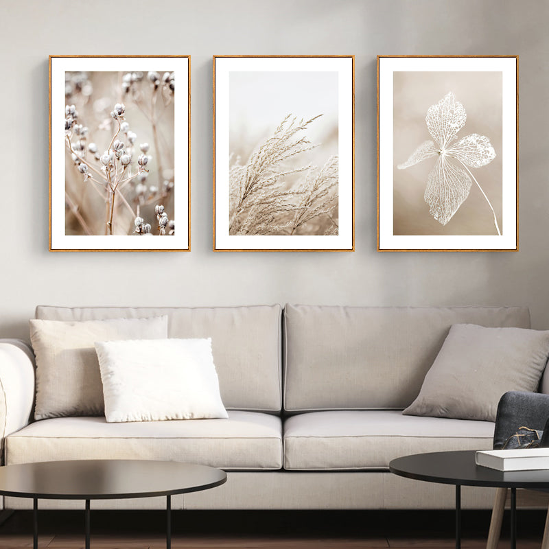 Wall Art Dried Flower 3 Sets Wood Frame Canvas