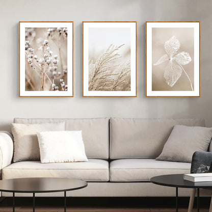 Wall Art Dried Flower 3 Sets Wood Frame Canvas