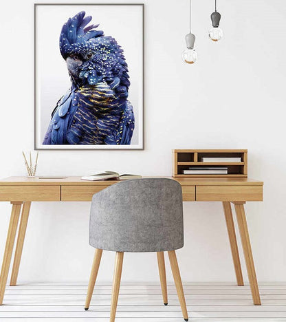 Wall Art Black Cockatoo A Frame Canvas