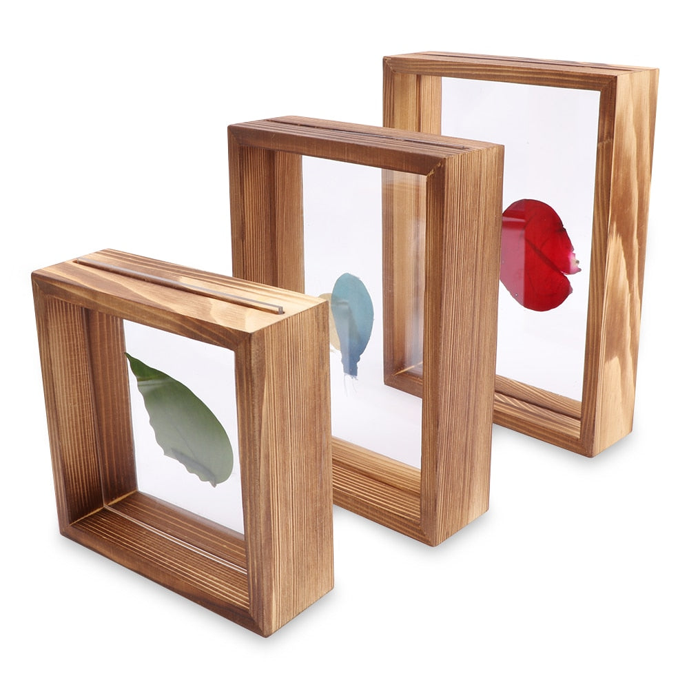 Glass Frame for Holding Plant Specimens