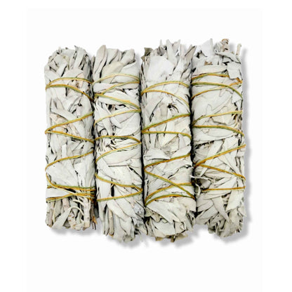 Californian White Sage Smudge Sticks Large | Incense Cleansing