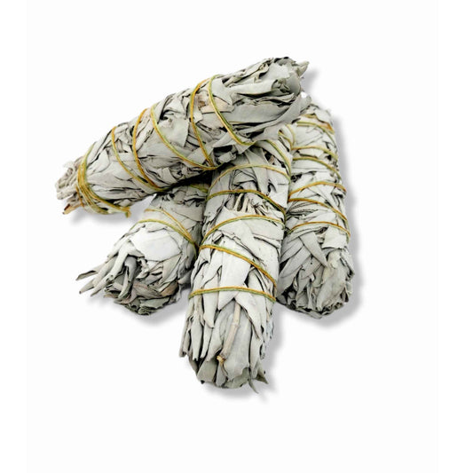 Californian White Sage Smudge Sticks Large | Incense Cleansing