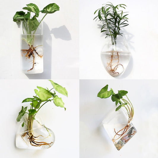 Wall Hanging Glass Flower Vase Terrarium