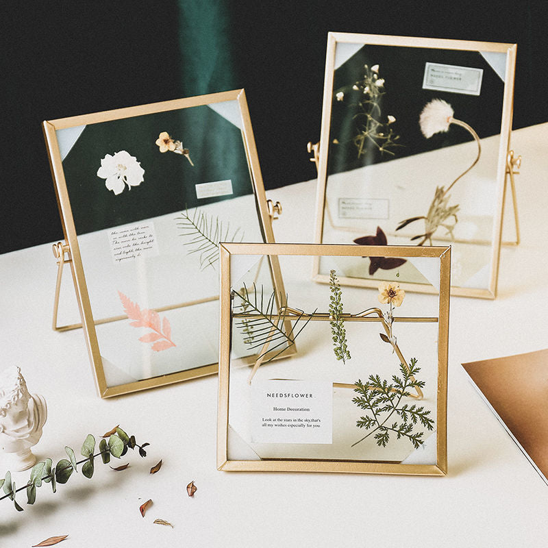 Herbarium Display Photo Frame