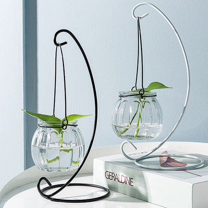 Hanging Glass Vases - Indoor Home Decoration